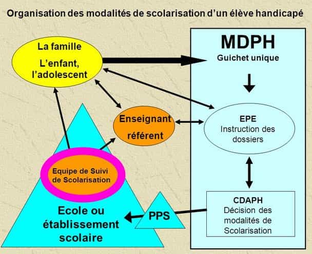 organisation scolarisation hand ESS