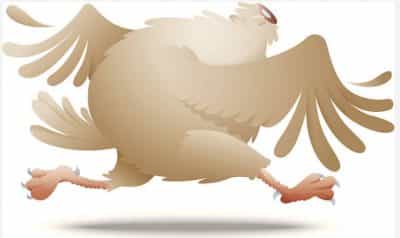 poulet décapité