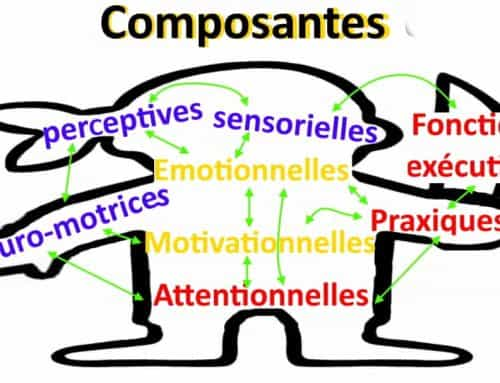 Une approche systémique du trouble neurodéveloppemental