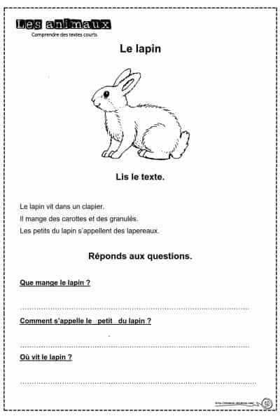 fiche lapin