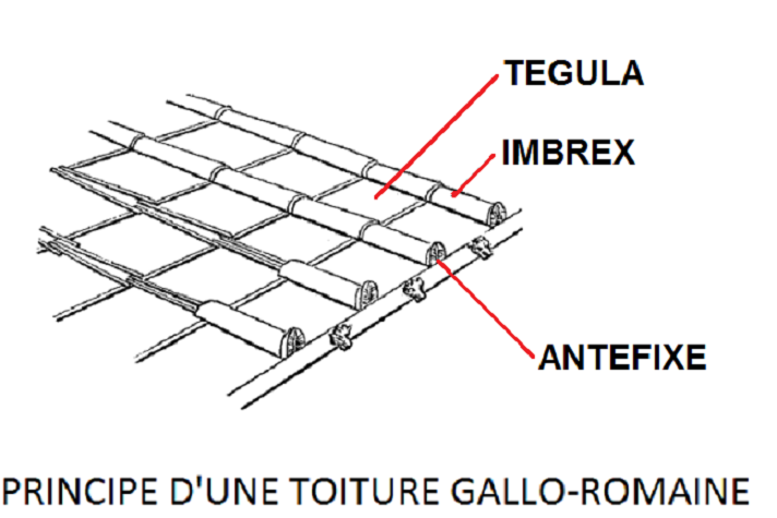 antixe